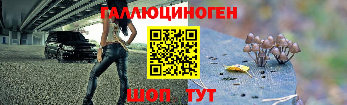 Новочеркасск  Псилоцибиновые грибы Magic Shrooms  Вход с VPN 